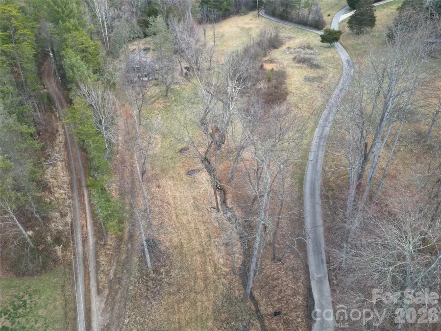 46 Pug Run #4, Weaverville, NC 28787 - #2