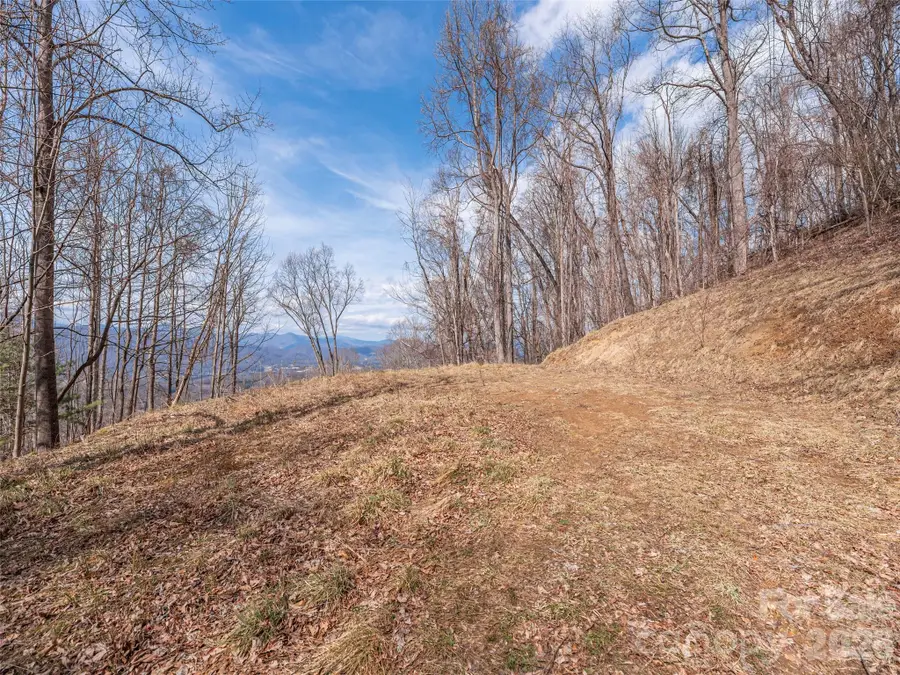399 Goodson Spring Road, Waynesville, NC 28786 - #2