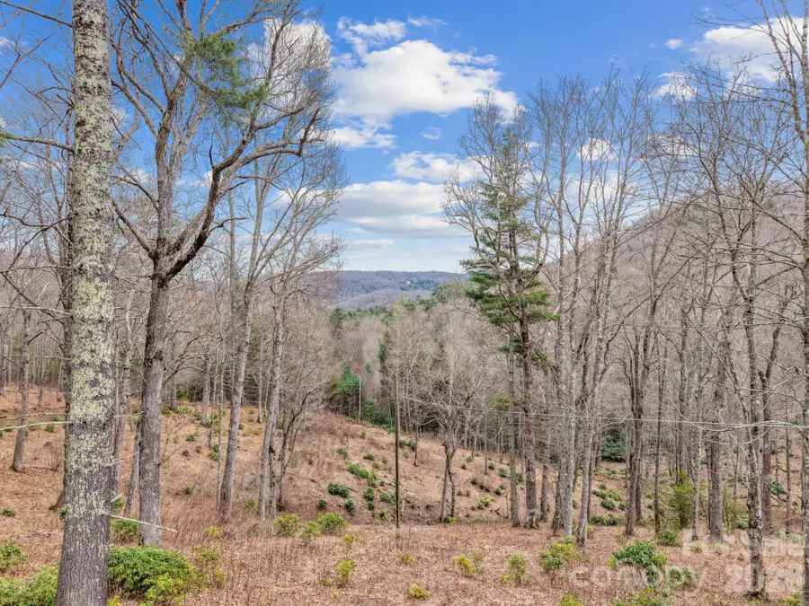 580 N Robinson Creek Road, Glenville, NC 28736 - #3