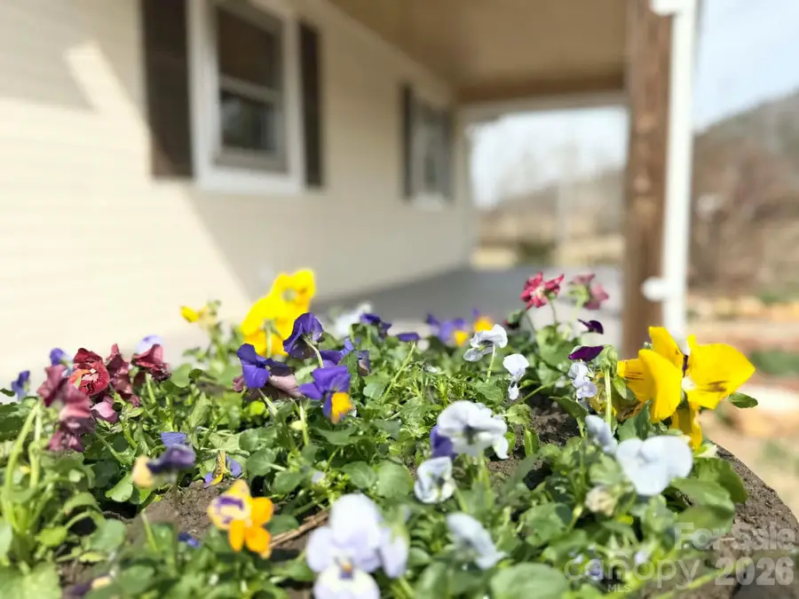 2742 Hwy 268 Highway, Lenoir, NC 28645 - #2