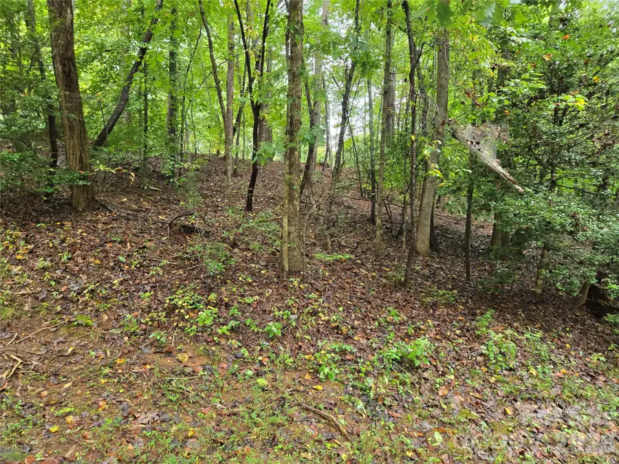 0 Waterside Drive, Lake Lure, NC 28746 - #3