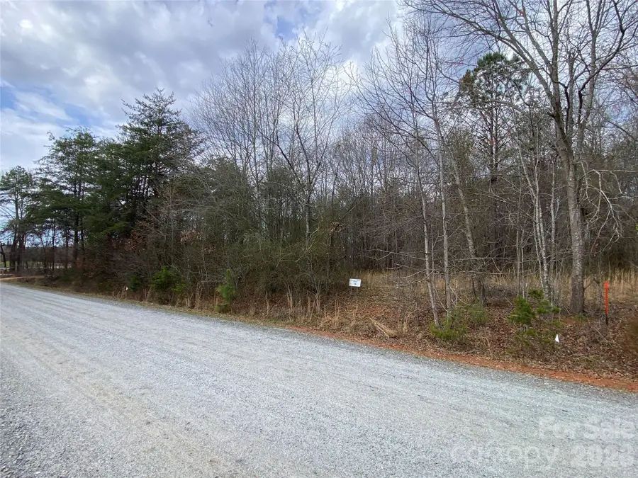 00 Painter Road, Mooresboro, NC 28114 - #2