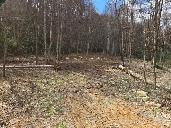 00 Laurel Branch Road, Waynesville, NC 28785