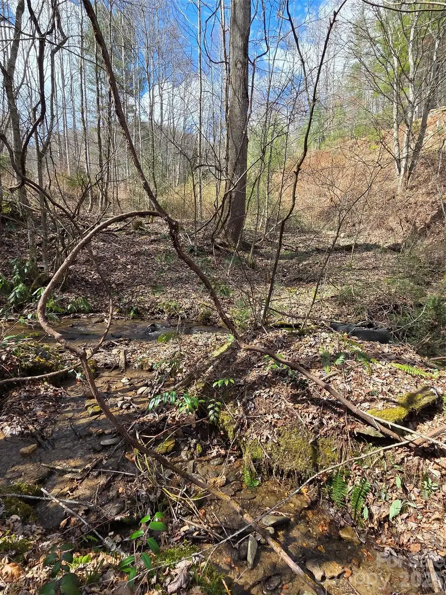 00 Laurel Branch Road, Waynesville, NC 28785 - #2