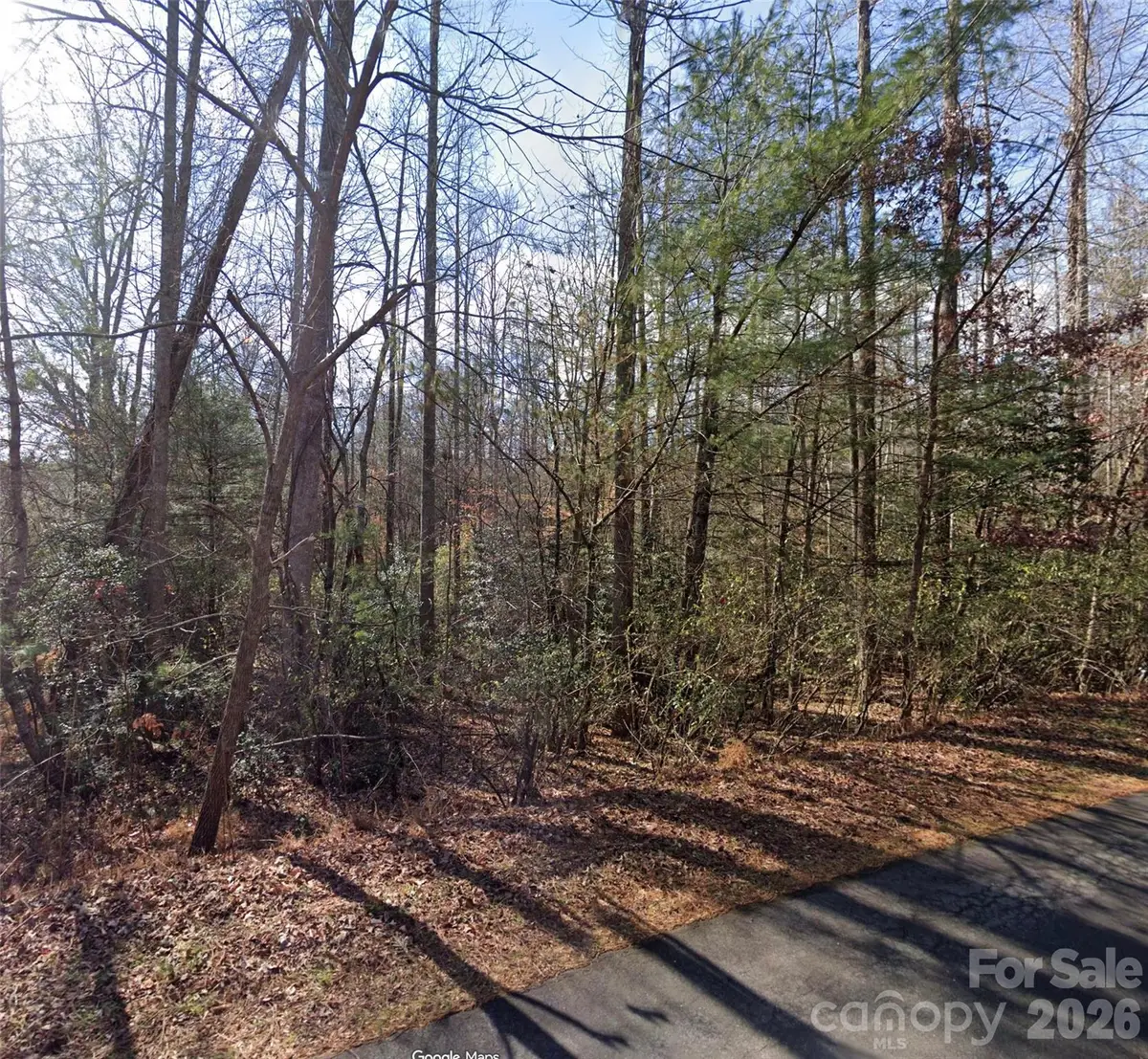 000 Fox Road, Old Fort, NC 28762 - #1