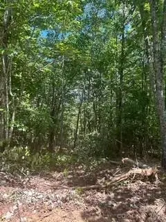 0000 Duck Creek Road, Lenoir, NC 28645 - #3