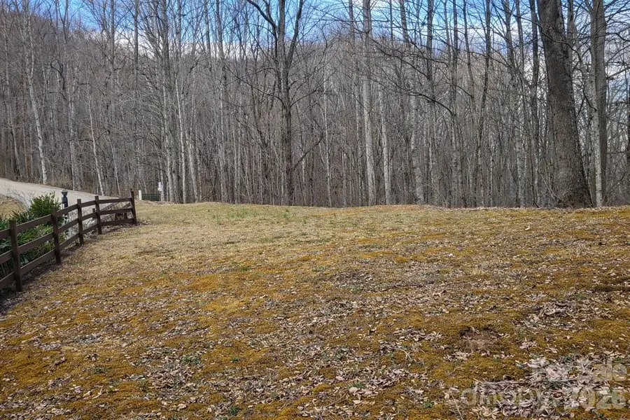00 Upward Way #1, Waynesville, NC 28785 - #2