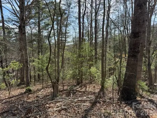 2 Frontier Court, Asheville, NC 28805 - #2