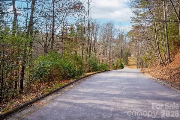 Lot 13 Deerlake Drive #13, Brevard, NC 28712