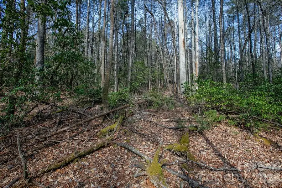 Lot 13 Deerlake Drive #13, Brevard, NC 28712 - #2