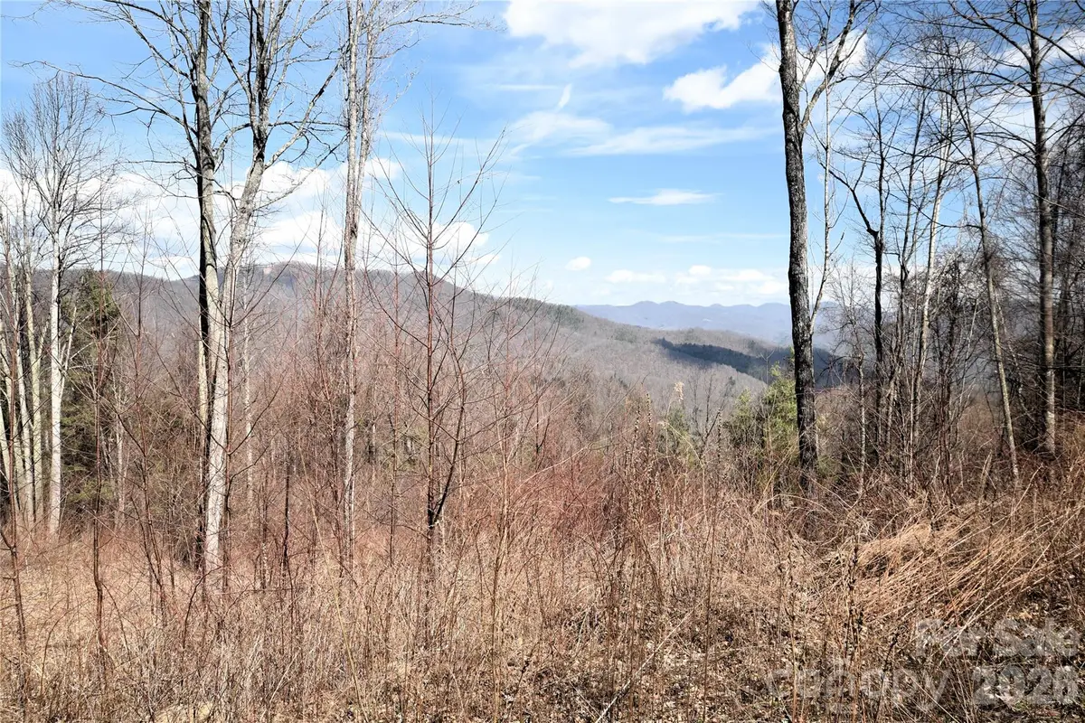 000 Curry Comb Trail #513, Waynesville, NC 28785 - #1