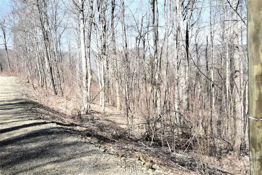 000 Curry Comb Trail #513, Waynesville, NC 28785 - #2