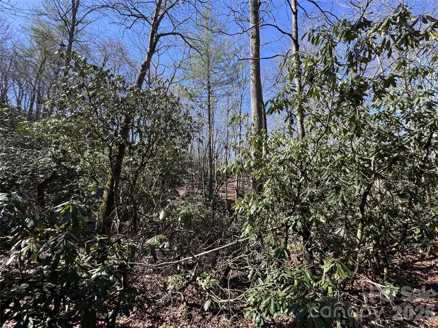 000 Walk About Trail, Fletcher, NC 28732 - #2