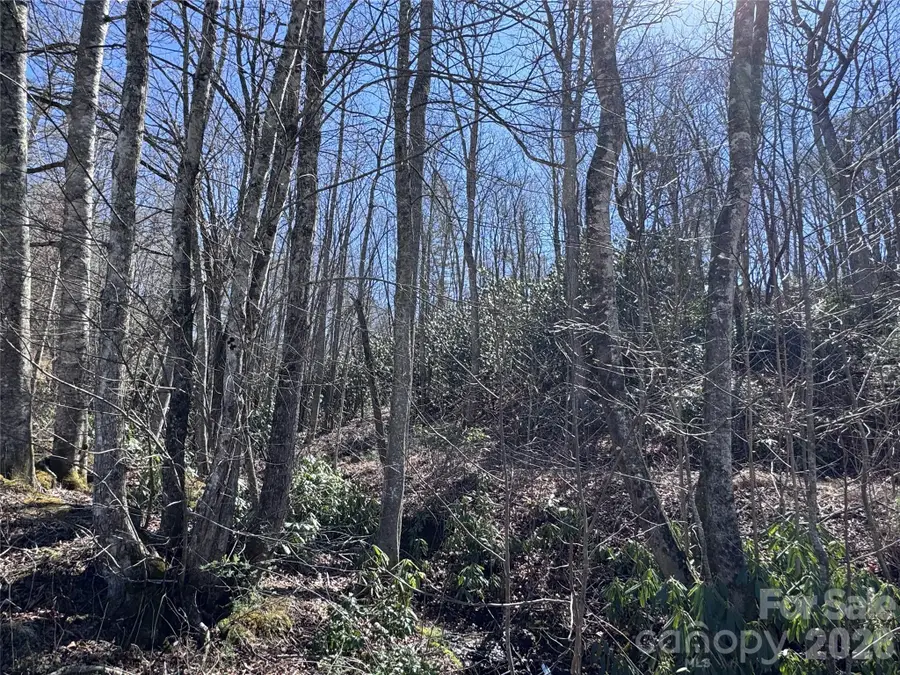 000 Walk About Trail, Fletcher, NC 28732 - #3