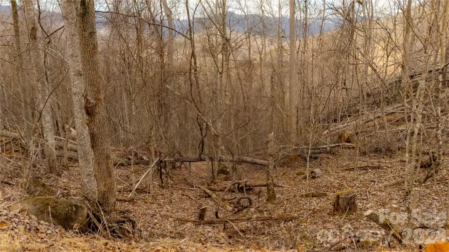 000 Elliotts Loop #123 & 124, Bakersville, NC 28705 - #3