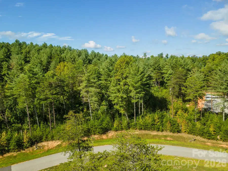 254 Peninsula Reserve Road, Nebo, NC 28761 - #2