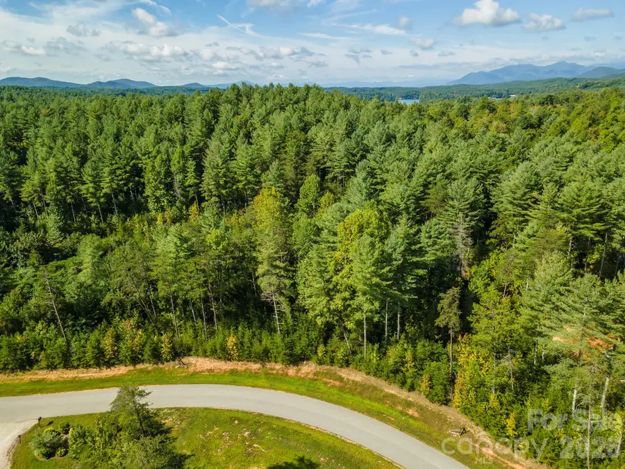 254 Peninsula Reserve Road, Nebo, NC 28761 - #3