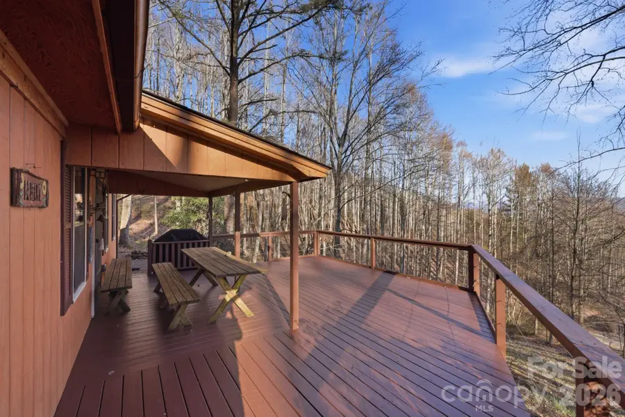 186 Greentree Lane, Canton, NC 28716 - #2