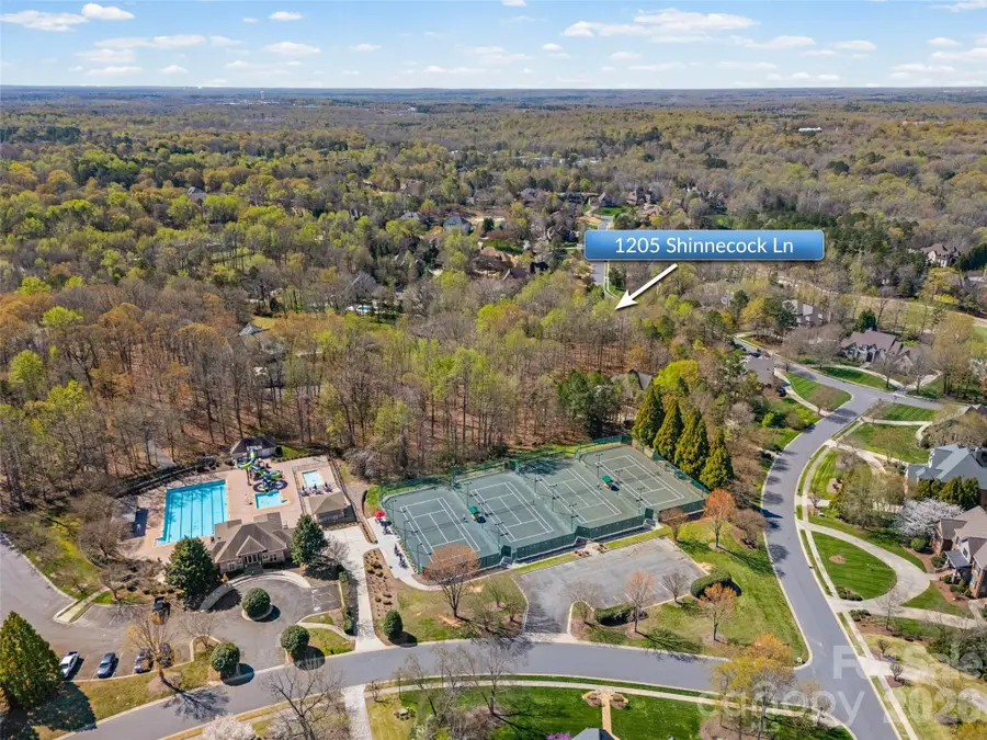 1205 Shinnecock Lane, Marvin, NC 28173 - #2