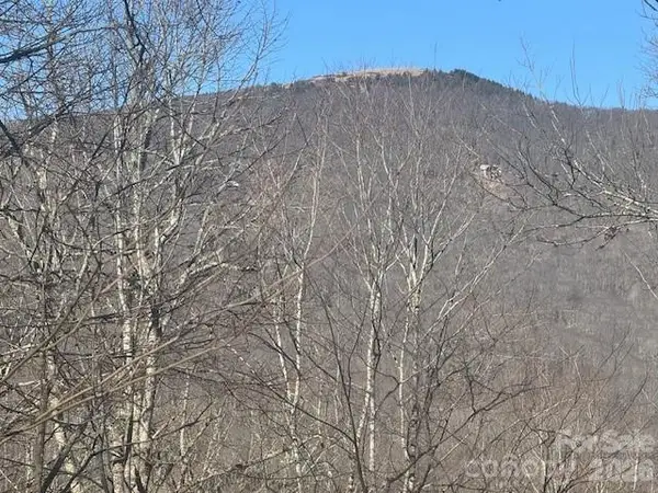 11 Zebulon Lane, Mars Hill, NC 28754