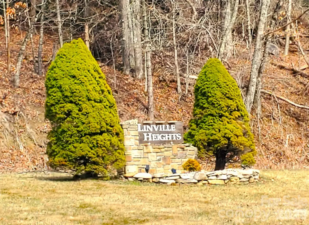 Lot 67 Linhigh Drive, Linville, NC 28646 - #1