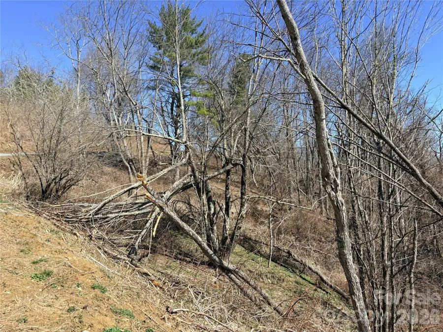 Lot 67 Linhigh Drive, Linville, NC 28646 - #3