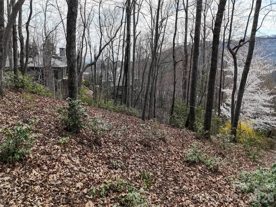 709 Craggyside Lane #24, Arden, NC 28704 - #3