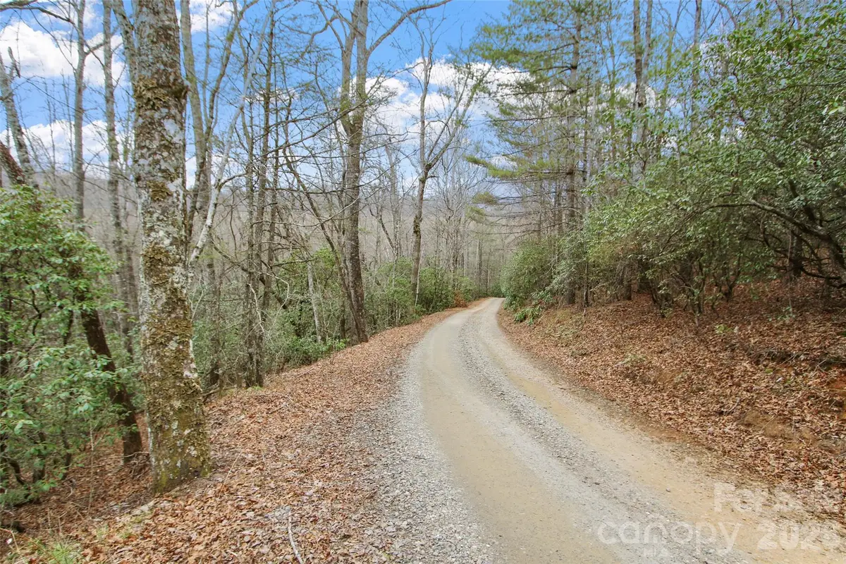 Lot 12 Patton Thicket Road, Burnsville, NC 28714 - #1