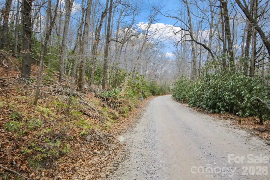 Lot 12 Patton Thicket Road, Burnsville, NC 28714 - #2