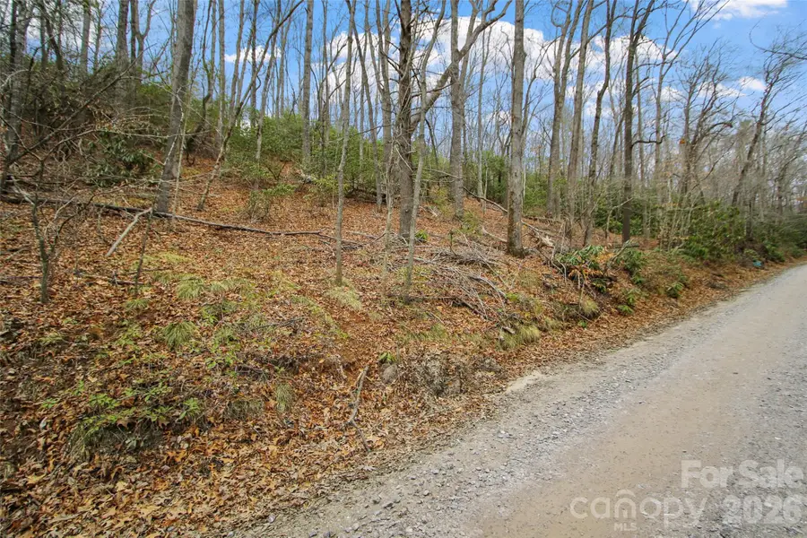 Lot 12 Patton Thicket Road, Burnsville, NC 28714 - #3
