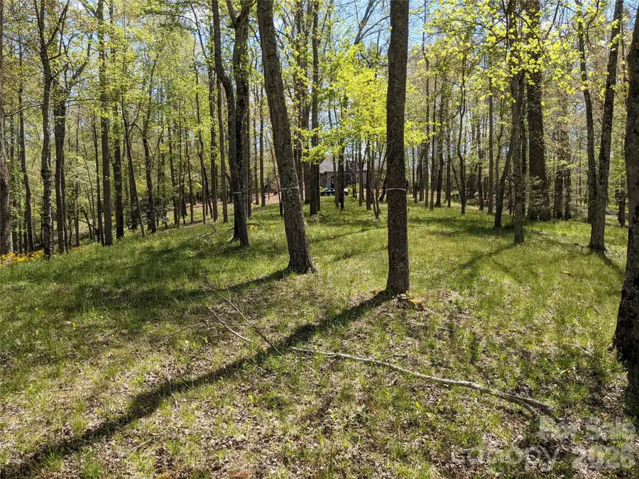 27 Woodtrail Way, Arden, NC 28704 - #2