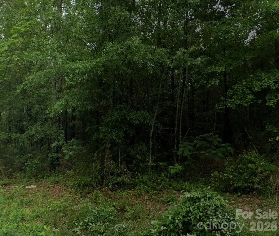 0 Shoe Heel Street W, Maxton, NC 28364 - #2