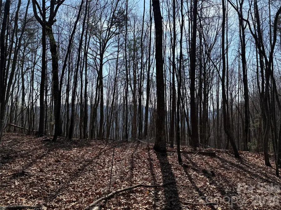 TBD Deer Run Road #227, Purlear, NC 28665 - #2