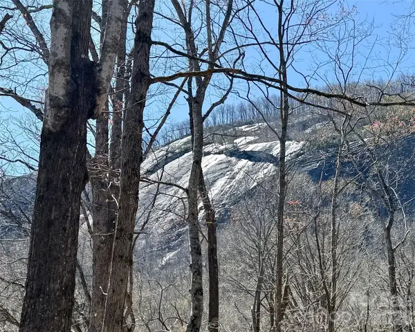 Lot 229 Swallow Lane, Lake Lure, NC 28746