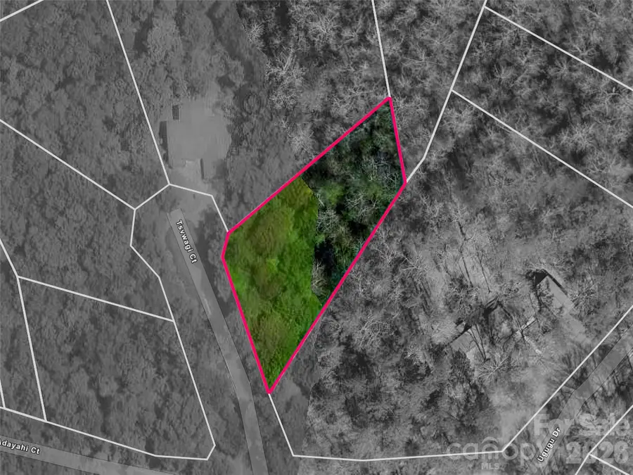 TBD Tsvwagi Court #2/25, Brevard, NC 28712 - #2