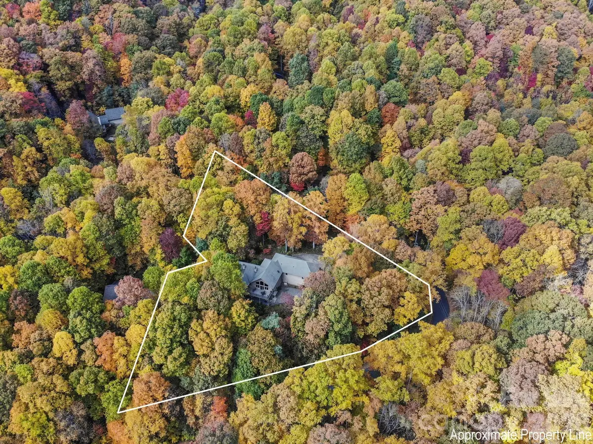 30 Laurel Branch Drive, Black Mountain, NC 28711 - #1