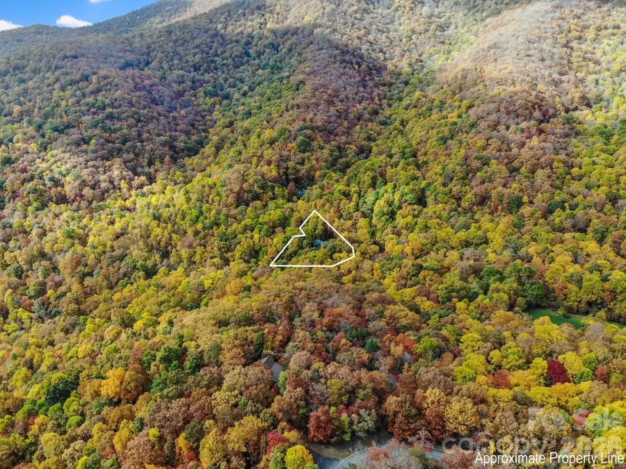 30 Laurel Branch Drive, Black Mountain, NC 28711 - #3