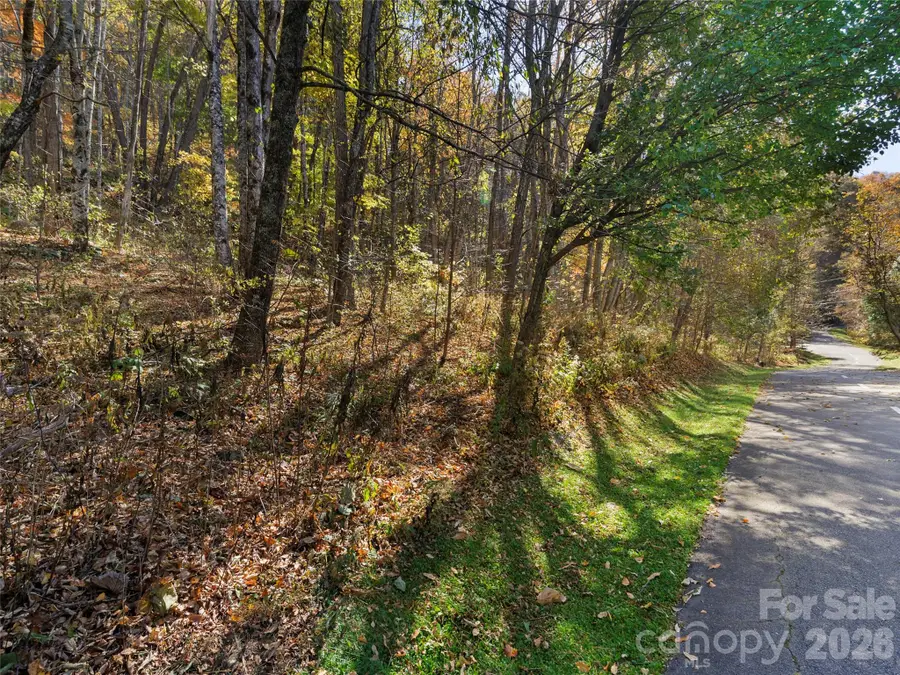 Lot 28 Jefferson Lane, Waynesville, NC 28786 - #3