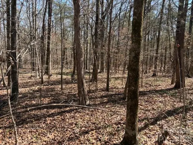 7340 Paul Linker Place, Concord, NC 28025 - #2