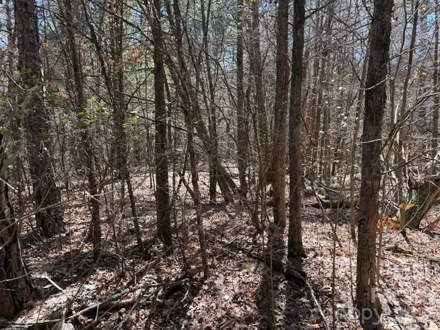 7350 Paul Linker Place, Concord, NC 28025 - #2