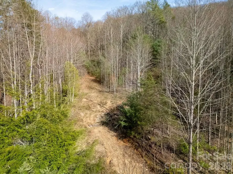 TBD Middlefork Road, Brevard, NC 28712 - #2