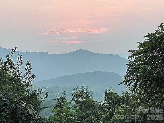 0 Dark Ridge Road, Elk Park, NC 28622 - #2