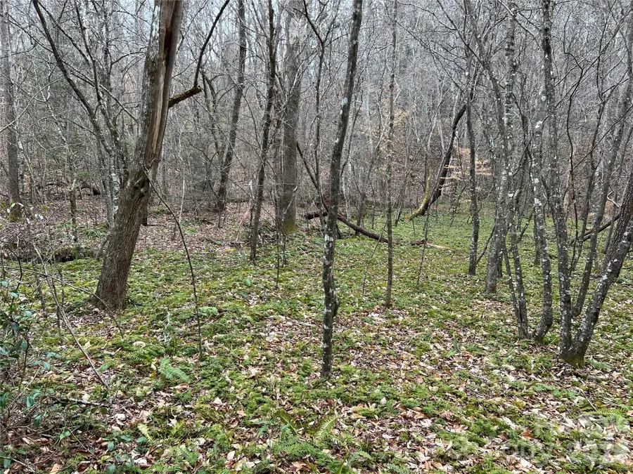 5291 Vista Lane, Morganton, NC 28655 - #3