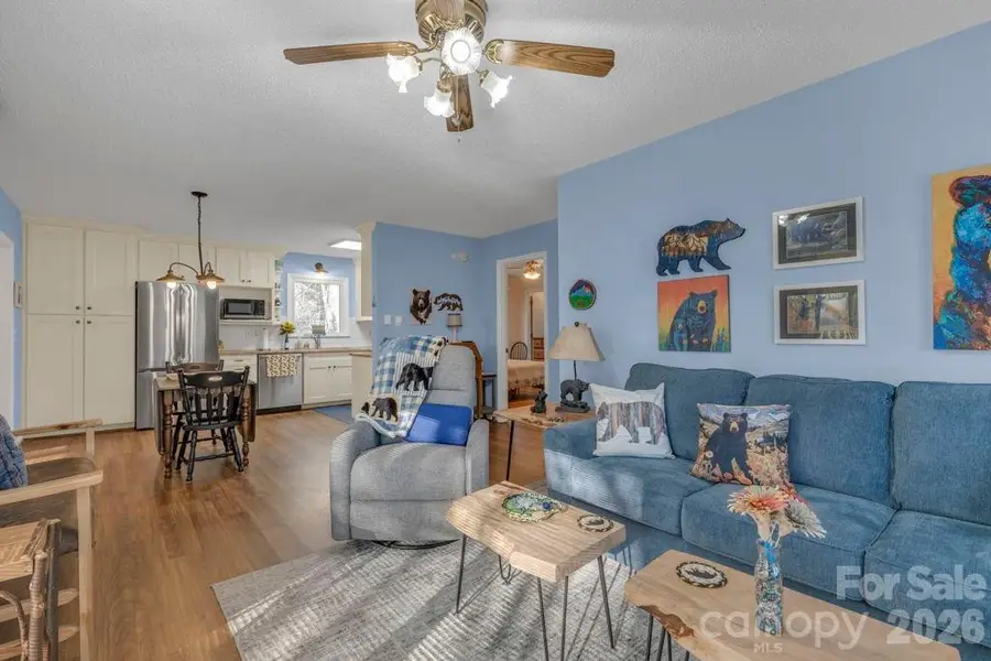 6 Ridgewood Lane, Newland, NC 28657 - #3