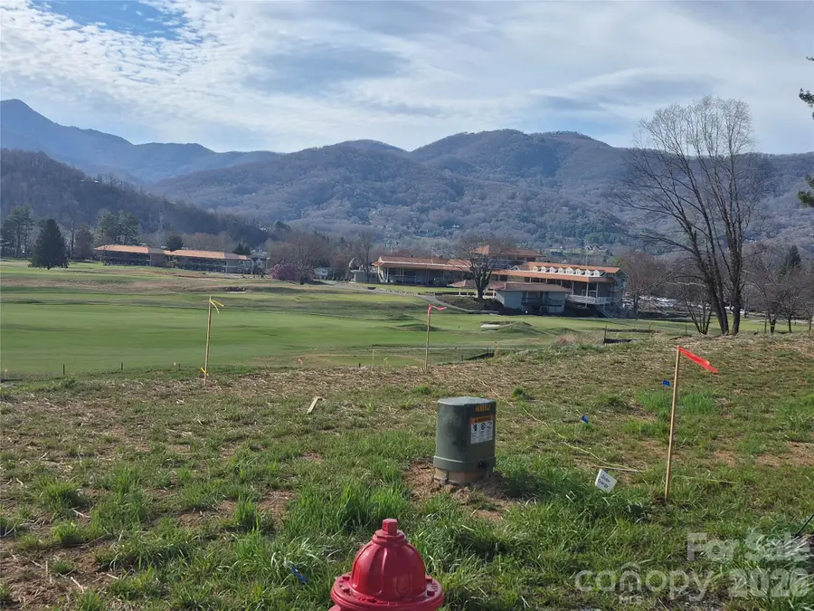 30 Farmer Branch Lane, Waynesville, NC 28786 - #2