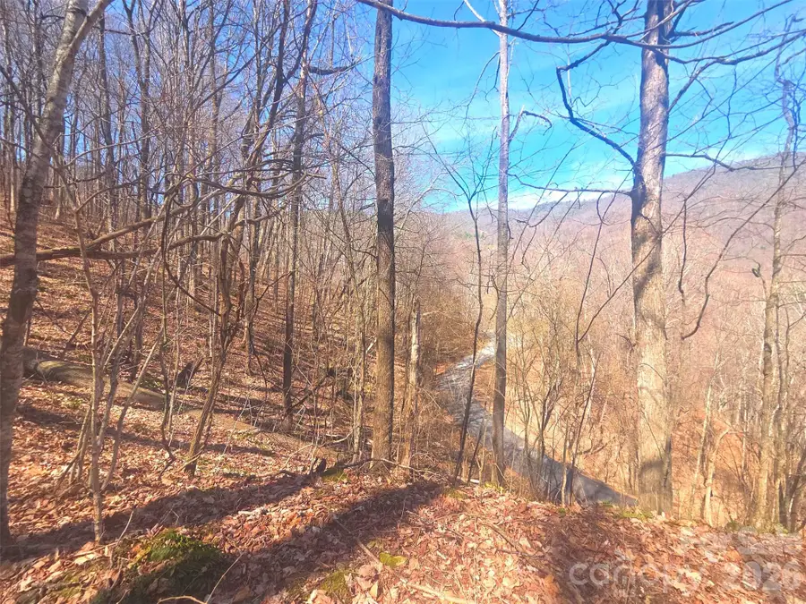 1200 Chestnut Flats Lane #138, Waynesville, NC 28786 - #2