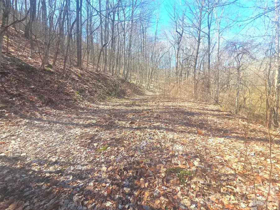 1200 Chestnut Flats Lane #138, Waynesville, NC 28786 - #3