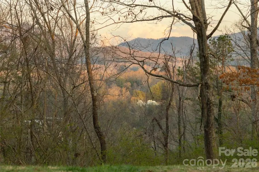 9999 Weaver Hill Road, Asheville, NC 28805 - #2