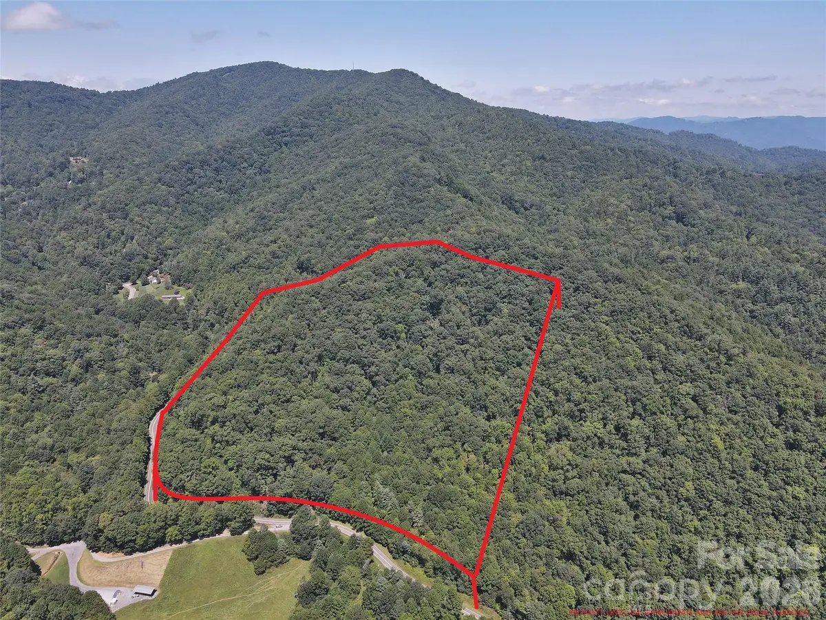 2166 Cove Creek Road, Waynesville, NC 28785 - #1