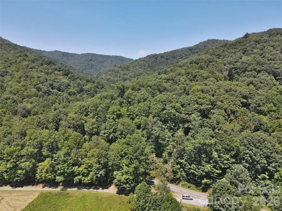2166 Cove Creek Road, Waynesville, NC 28785 - #3